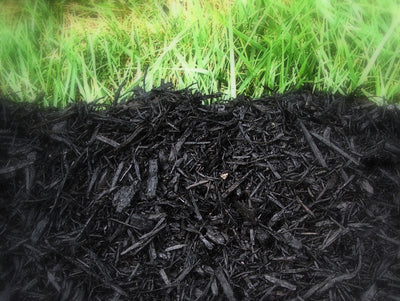 What is Mulch?