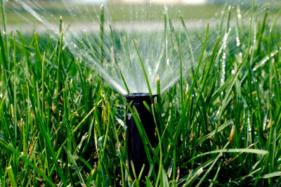 Seasonal Irrigation Adjustments