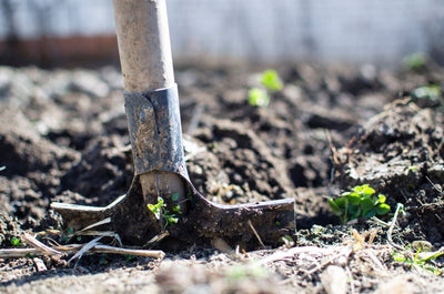 Composting For Your Gardens Health 2021 | Course