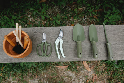 Pruning It Right! | Course
