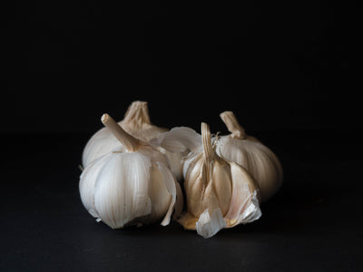 Plant your Garlic at Thanksgiving!