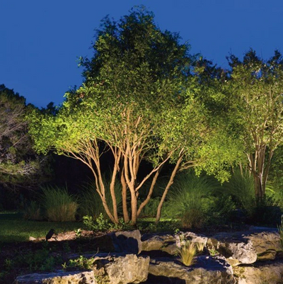 Landscape Lighting