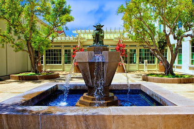 Water Features and Ponds